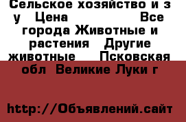 Сельское хозяйство и з/у › Цена ­ 2 500 000 - Все города Животные и растения » Другие животные   . Псковская обл.,Великие Луки г.